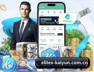 开云官网入口 APP